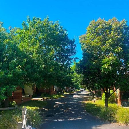 Mount Waverley Townhouses Eksteriør billede