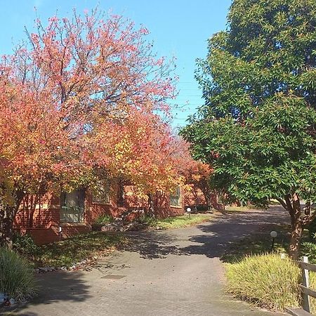 Mount Waverley Townhouses Eksteriør billede