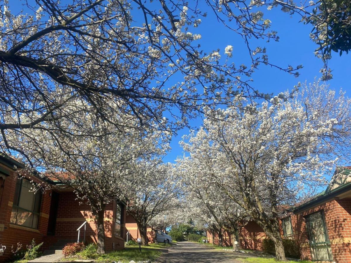 Mount Waverley Townhouses Eksteriør billede