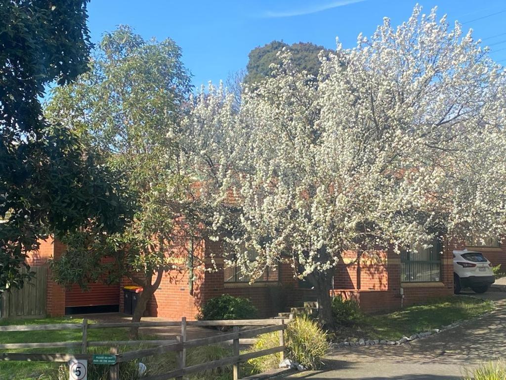 Mount Waverley Townhouses Eksteriør billede