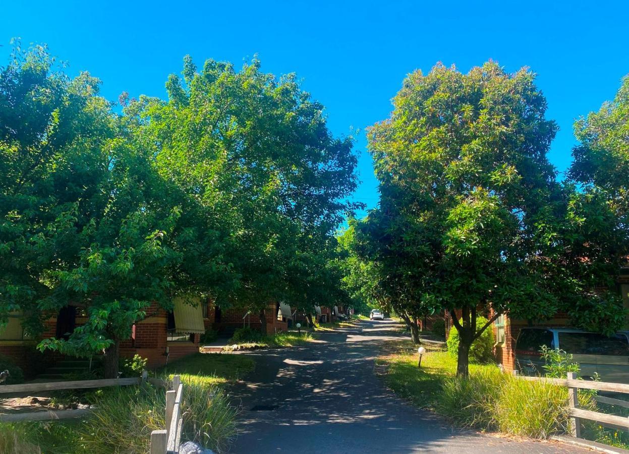 Mount Waverley Townhouses Eksteriør billede