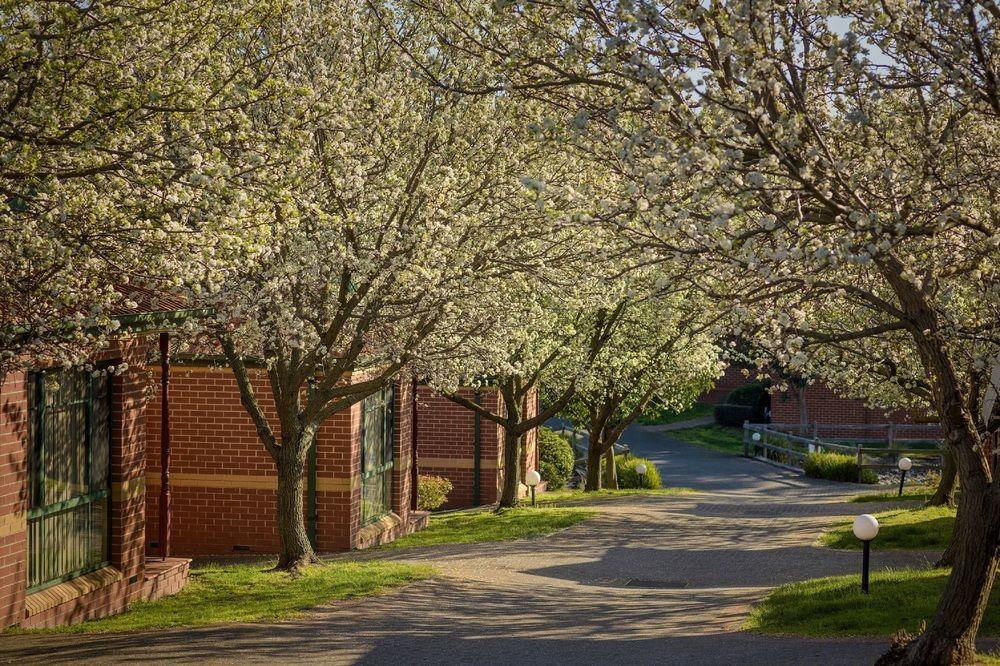 Mount Waverley Townhouses Eksteriør billede