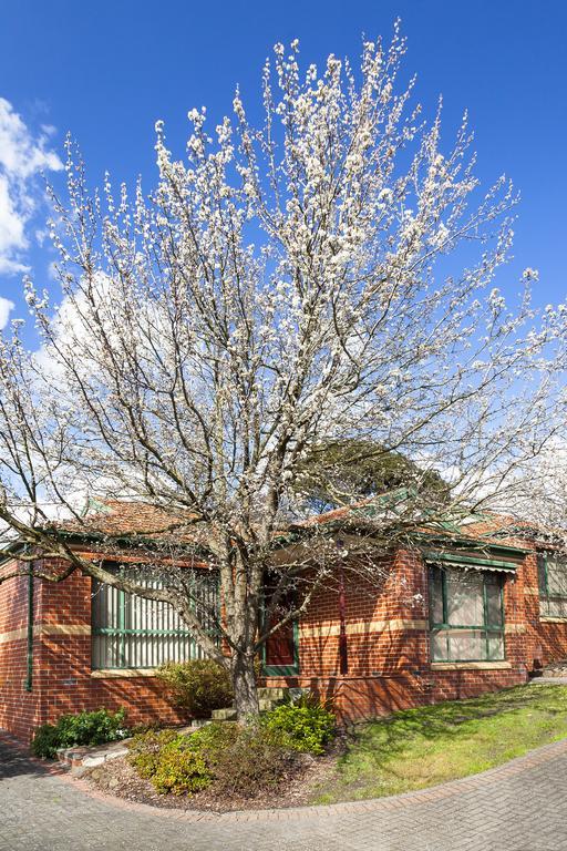 Mount Waverley Townhouses Eksteriør billede